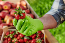 Перчатки нитриловые GOGRIP особопрочные зеленые 25 пар M, L, XL, XXL