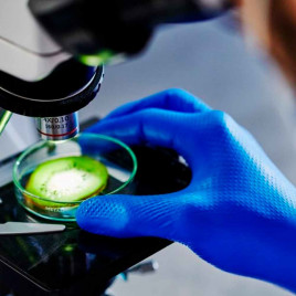 Перчатки нитриловые GOGRIP удлиненные особопрочные 30см голубые 25 пар M, L, XL